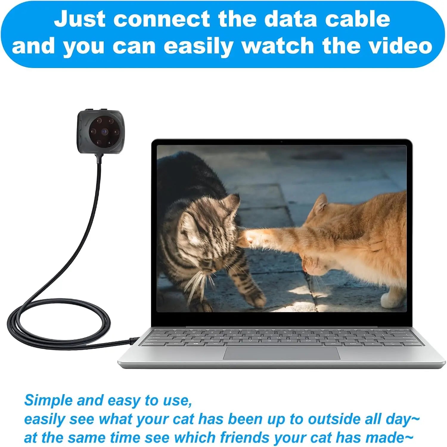 See1ee7365f5644769523976468d0c2dau