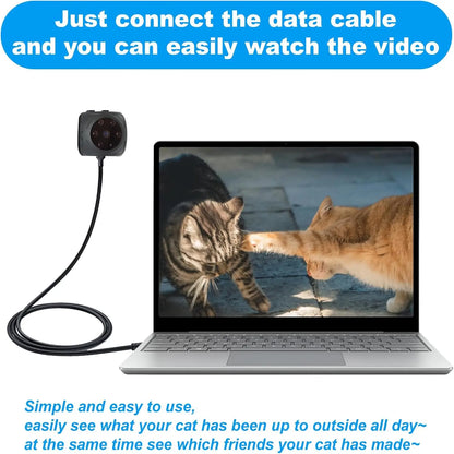 See1ee7365f5644769523976468d0c2dau