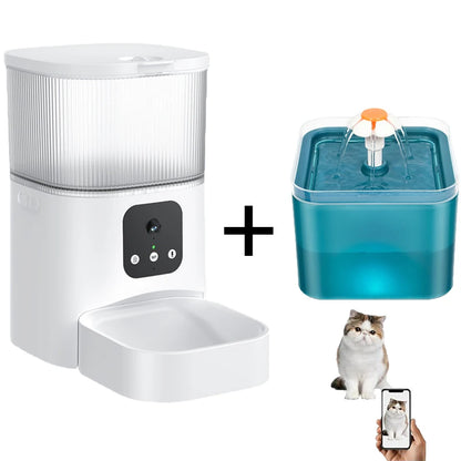 Sf144e5f53141434ea3fae46b4d2aa3cdq