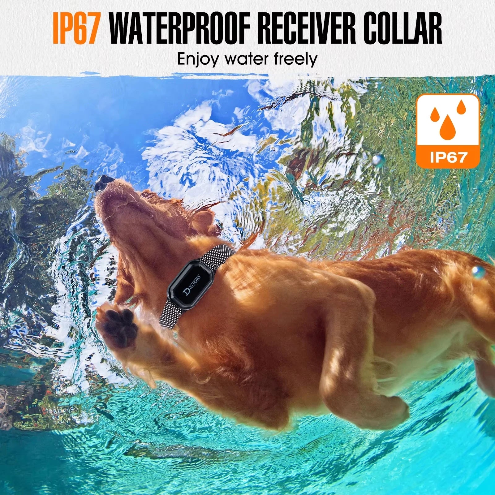 800m Dog Training Collar - MY TECH PET SHOP