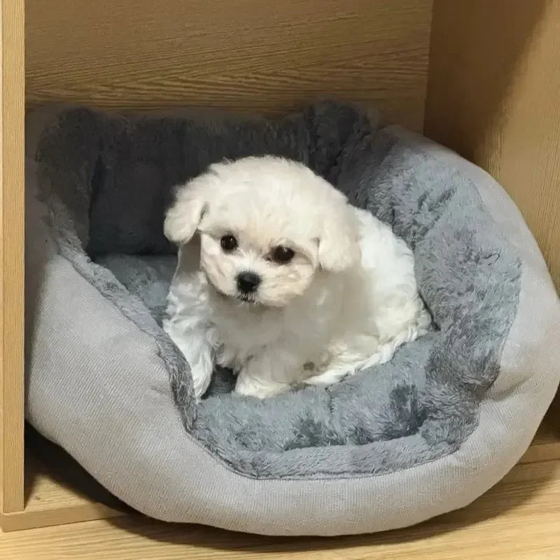 Soft Warm Dog Bed - MY TECH PET SHOP