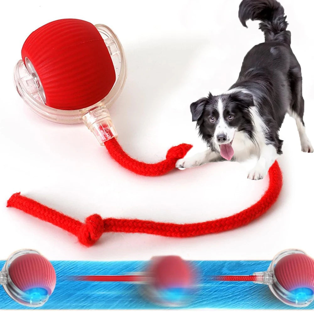 Smart Electric Ball Toy - MY TECH PET SHOP