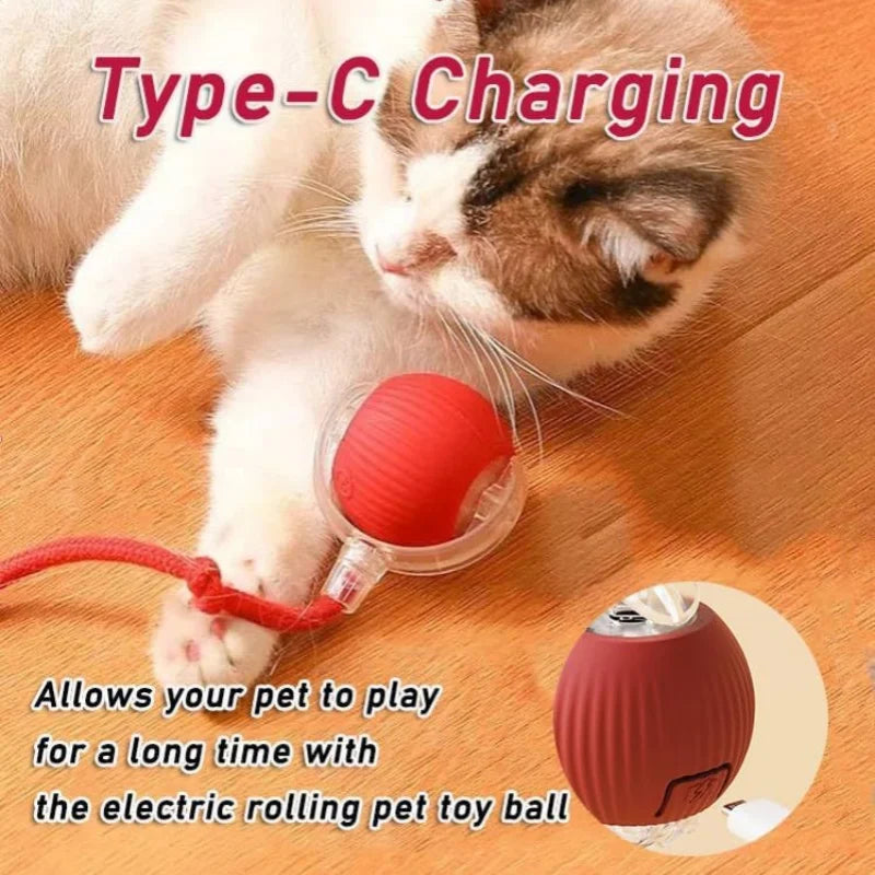 Smart Electric Ball Toy - MY TECH PET SHOP