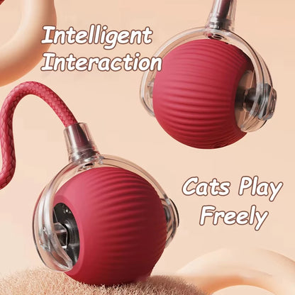 Smart Electric Ball Toy - MY TECH PET SHOP