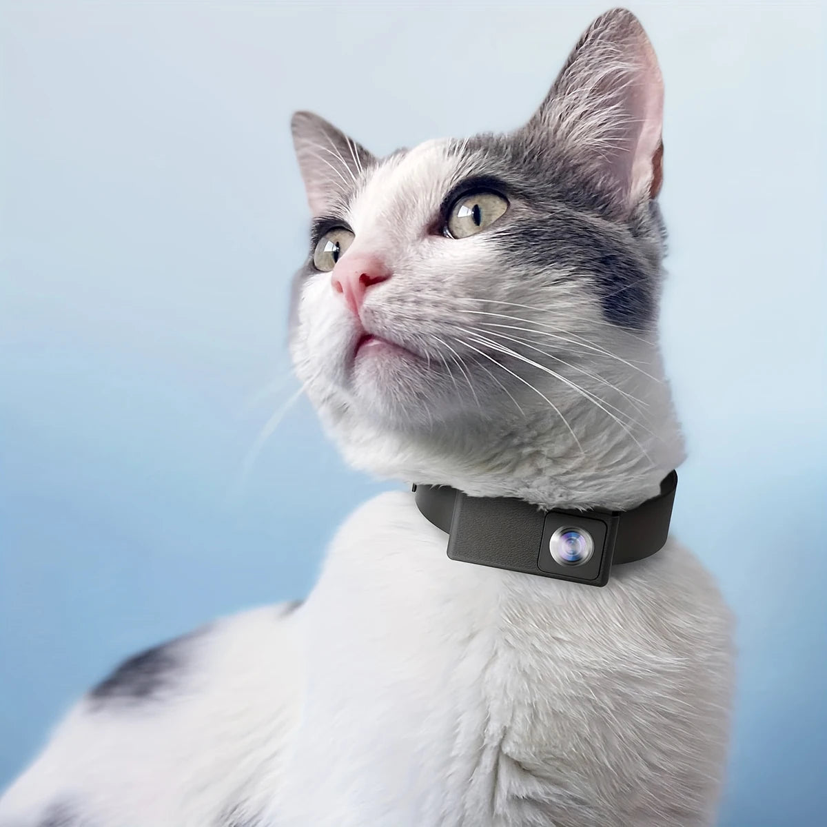 HD 1080P Wireless Collar Camera - MY TECH PET SHOP