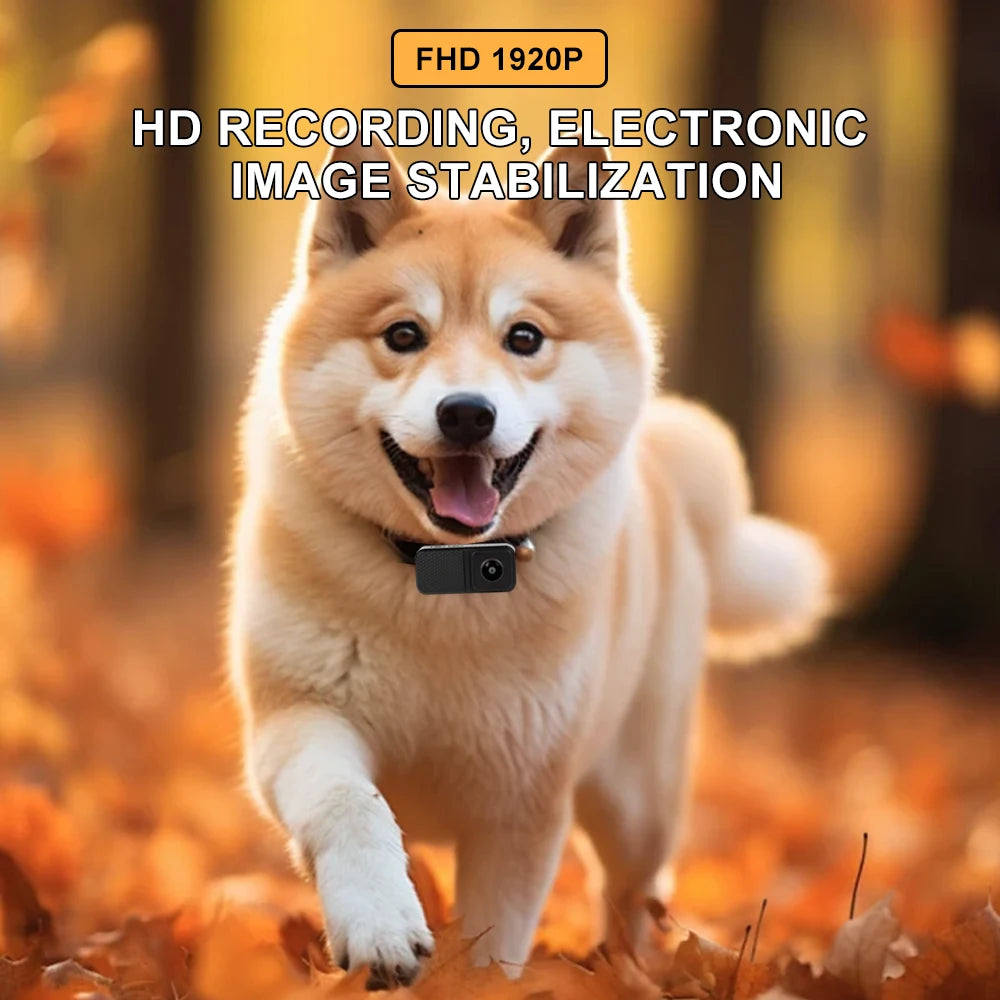 HD 1080P Wireless Collar Camera - MY TECH PET SHOP